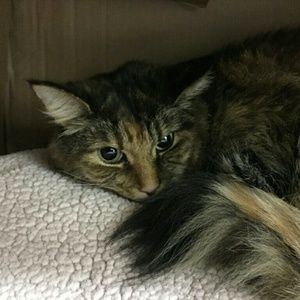 Meet your Posher, Ellen