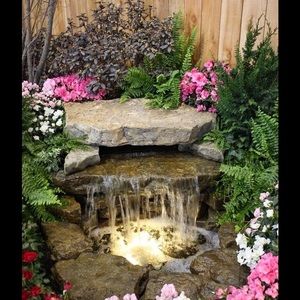 Meet your Posher, Lynette