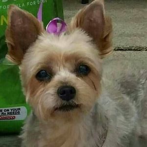 Meet your Posher, Gayla