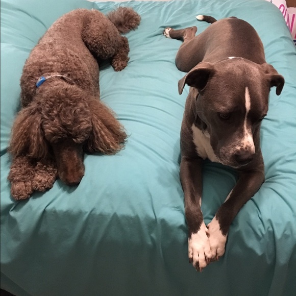 Meet your Posher, Judith - Picture 5 of 5