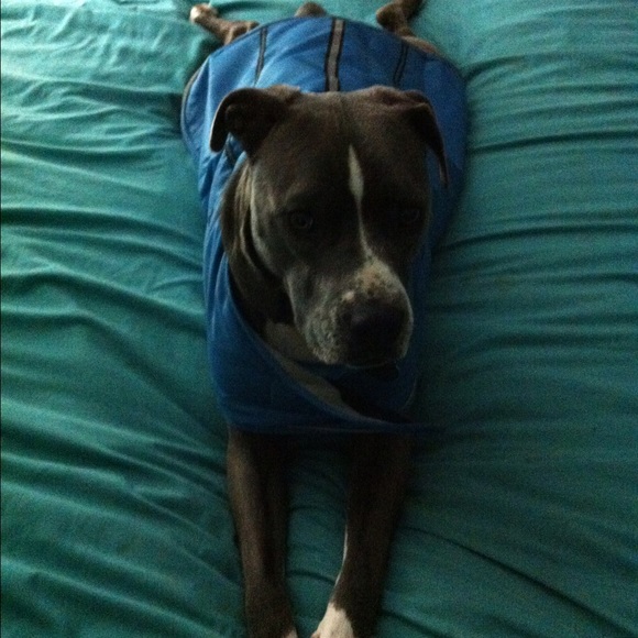 Meet your Posher, Judith - Picture 4 of 5