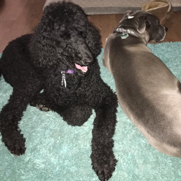 Meet your Posher, Judith - Picture 2 of 5