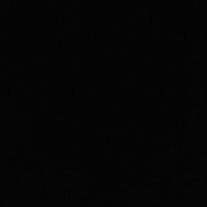 Meet your Posher, Emmie