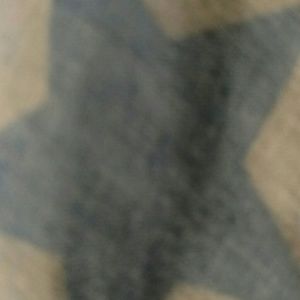 Meet your Posher, Chelsea