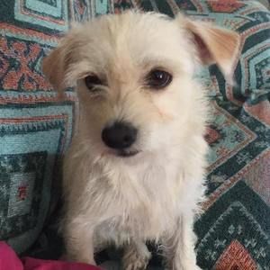 Meet your Posher, Melody