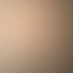 Meet your Posher, Bryan