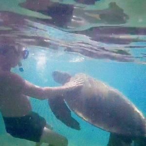 Meet your Posher, Kirk