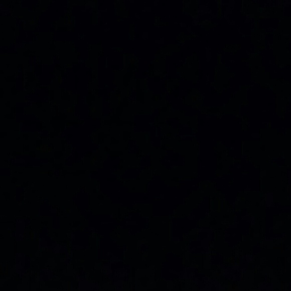 Meet your Posher, Gabe - Picture 1 of 1