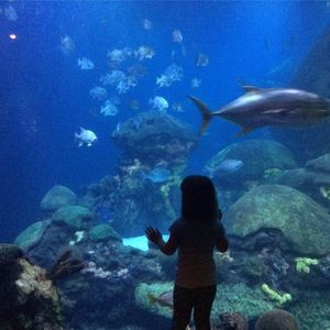 Meet your Posher, Johnica