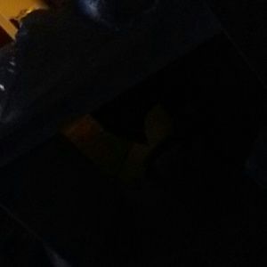 Meet your Posher, Bruce