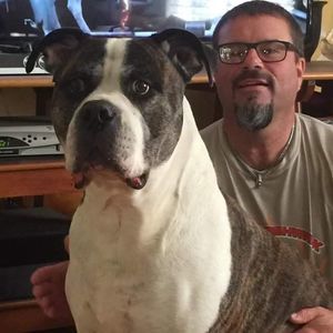 Meet your Posher, Vincent