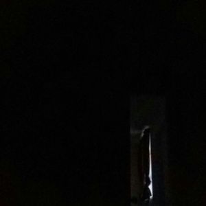 Meet your Posher, Bobby