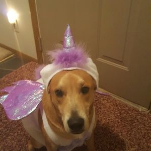 Meet your Posher, Denise