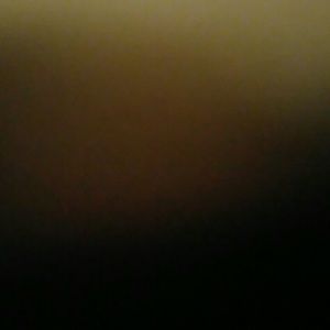 Meet your Posher, Miles