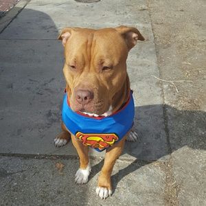 Meet your Posher, Danyelle