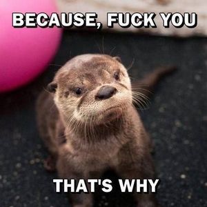 Meet your Posher, Rob