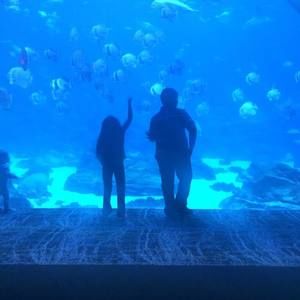 Meet your Posher, Seth