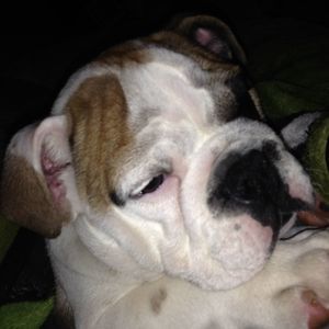 Meet your Posher, Heather