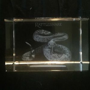 Glass in graved snake from las vages