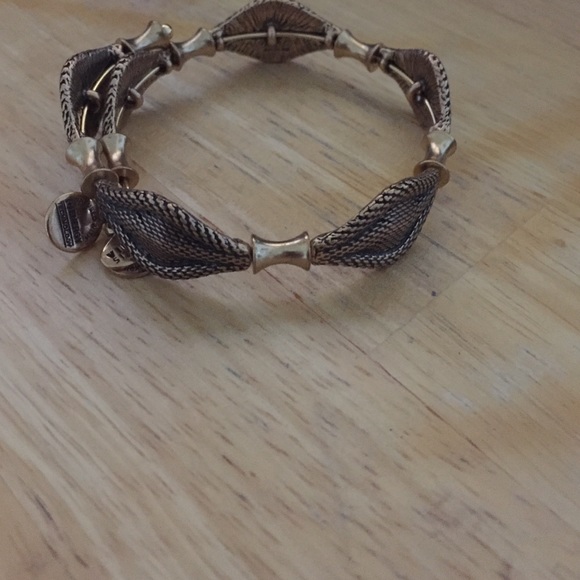 Alex and Ani Jewelry - Alex and Ani bracelet