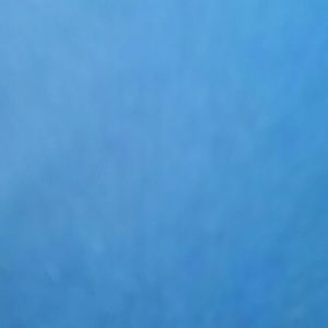 Meet your Posher, Douglas