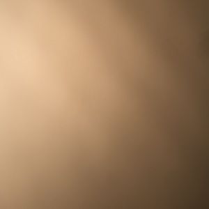 Meet your Posher, Gregory