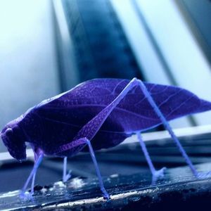 Meet your Posher, Gregory