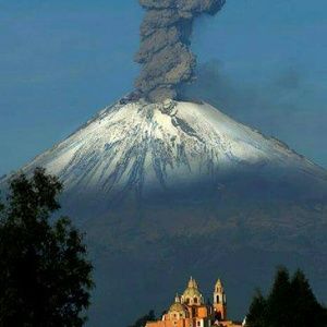 Meet your Posher, Scoot