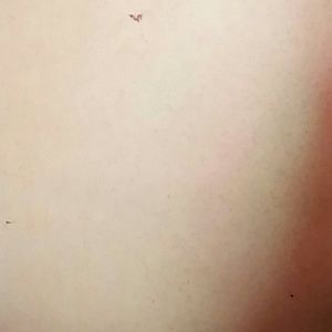 Meet your Posher, Trevor