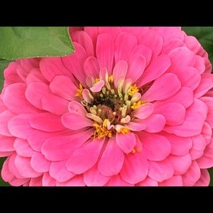 Meet your Posher, Stacie