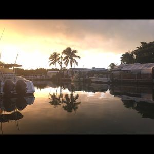 Meet your Posher, Fredy