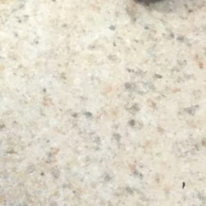 Meet your Posher, Antonette