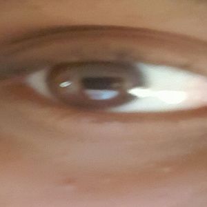 Meet your Posher, Calvin