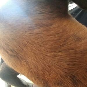 Meet your Posher, Aaron