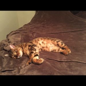 Meet your Posher, Inna