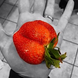 Meet your Posher, Rosalie