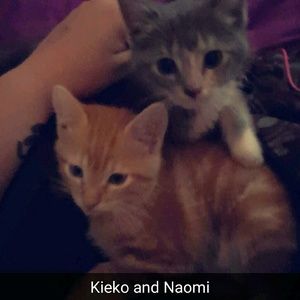 Meet your Posher, Lauren