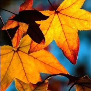 Meet your Posher, Katelyn