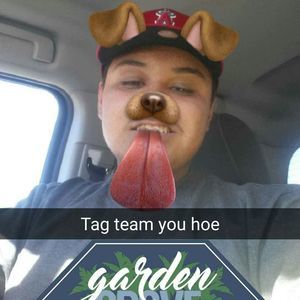 Meet your Posher, David