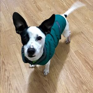 Meet your Posher, Martha