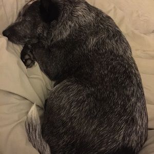 Meet your Posher, Sona