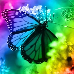 Meet your Posher, Debra