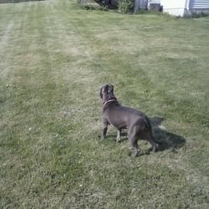 Meet your Posher, Arthur