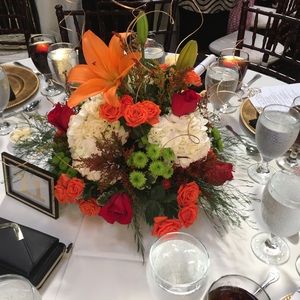 Meet your Posher, Minnie