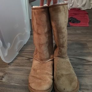 Tall Uggs