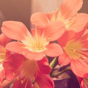 Meet your Posher, Fulltimeg4