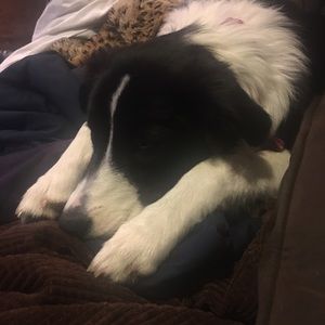 Meet your Posher, Matt