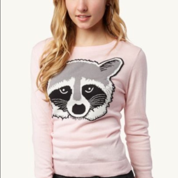 Raccoon sweater