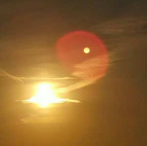 Meet your Posher, Willie