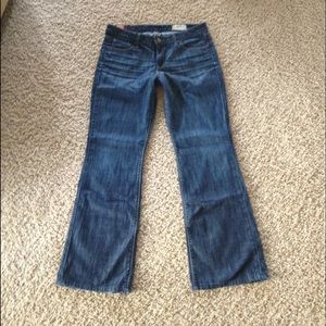 GAP 1969 Jeans Size 8R Flare 30.5 Length